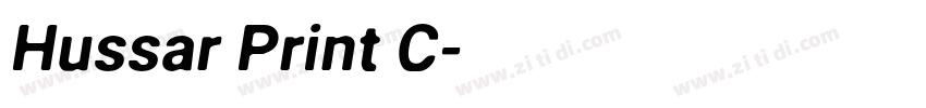 Hussar Print C字体转换
